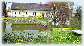 Blick vom Teich